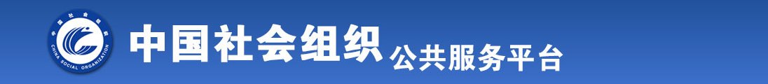 操X入白丝全国社会组织信息查询